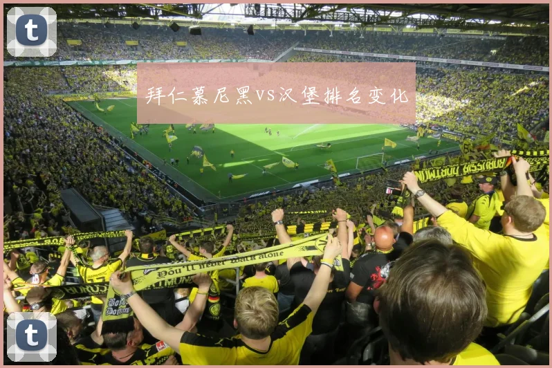 拜仁慕尼黑vs汉堡排名变化